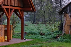 gruenefam-burg-spreewald-start-10