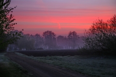 gruenefam-burg-spreewald-start-9