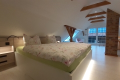 burg-gruene-farm-spreewald-ferienwohnung-9